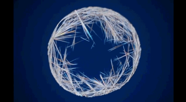 award-winning videos prove the micro world is just as beautiful
