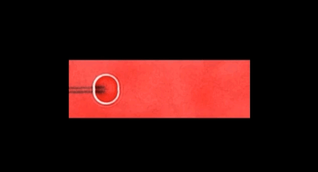 rolling across a fluorescently labeled rna surface, submitted by