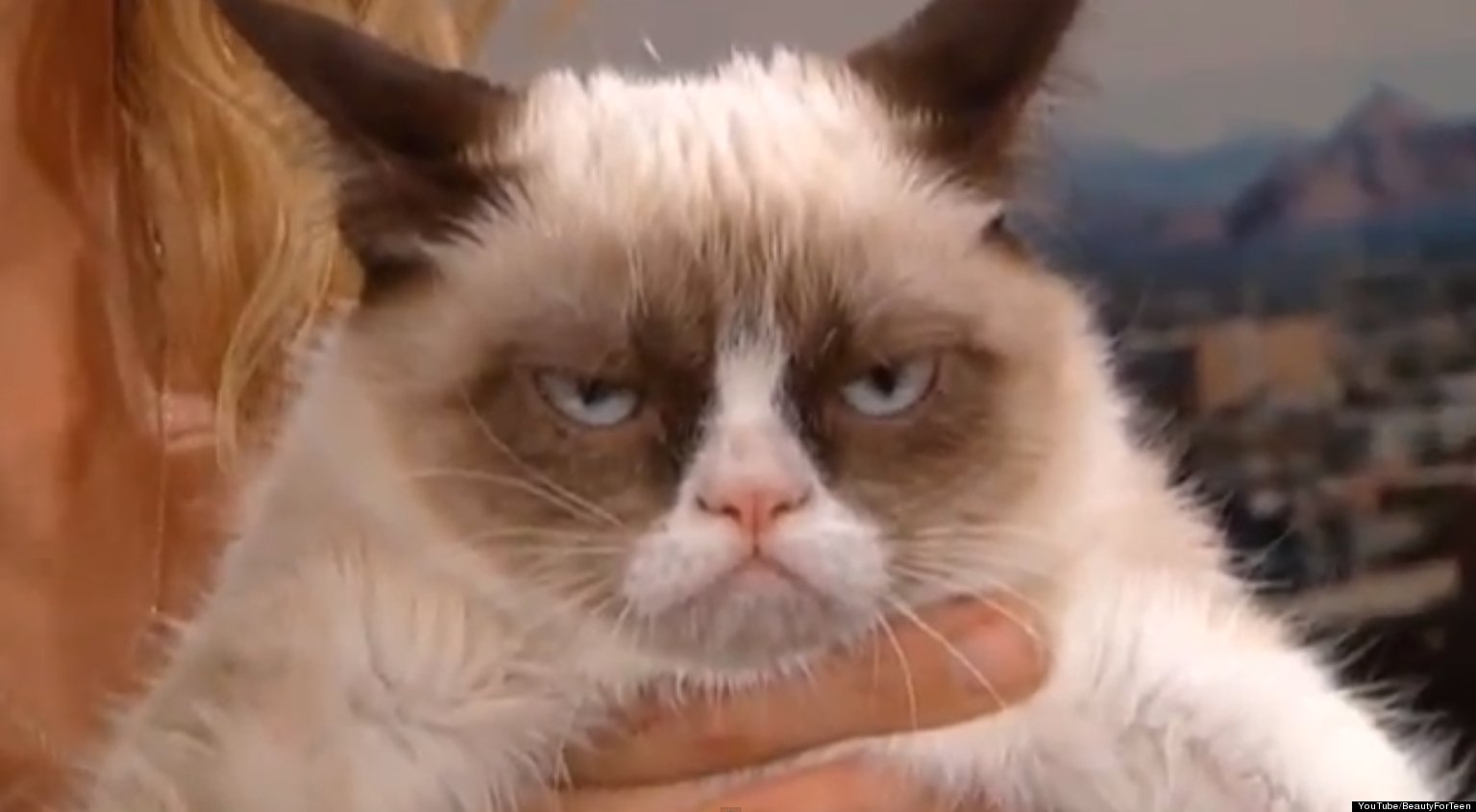 Grumpy Cat S SXSW Debut Tard To Attend Festival Will Also Star In