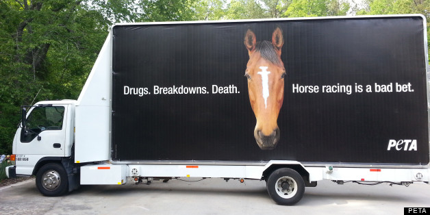 Peta Kentucky Derby Billboard Protests Horse Racing Drug Use Draws Attention At Churchill Downs Peta Kentucky Derby Billboard Protests Horse Racing Drug Use Draws Attention At Churchill Downs