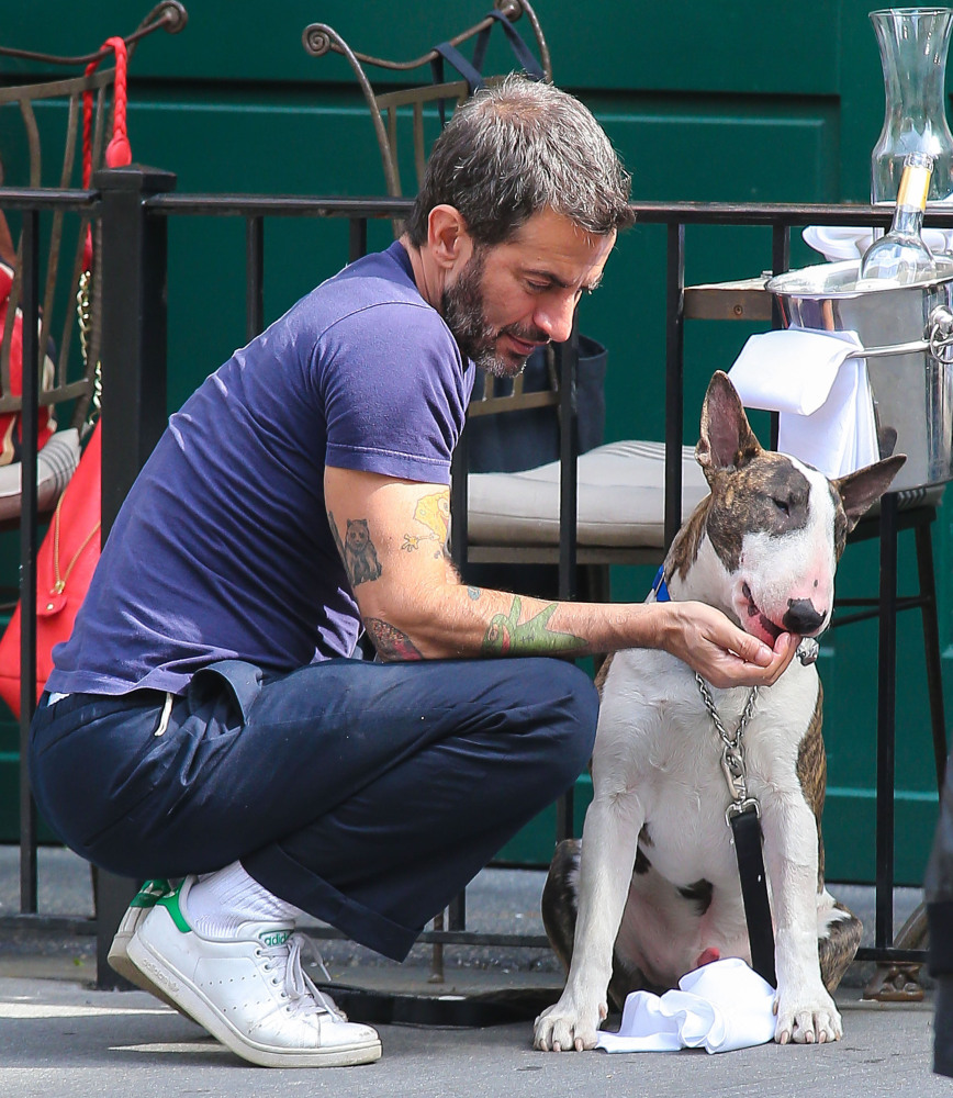 Dog Travolta, John Travolta In Dog Form, Can Make 'Pup Fiction' A Reality (PHOTOS) | HuffPost