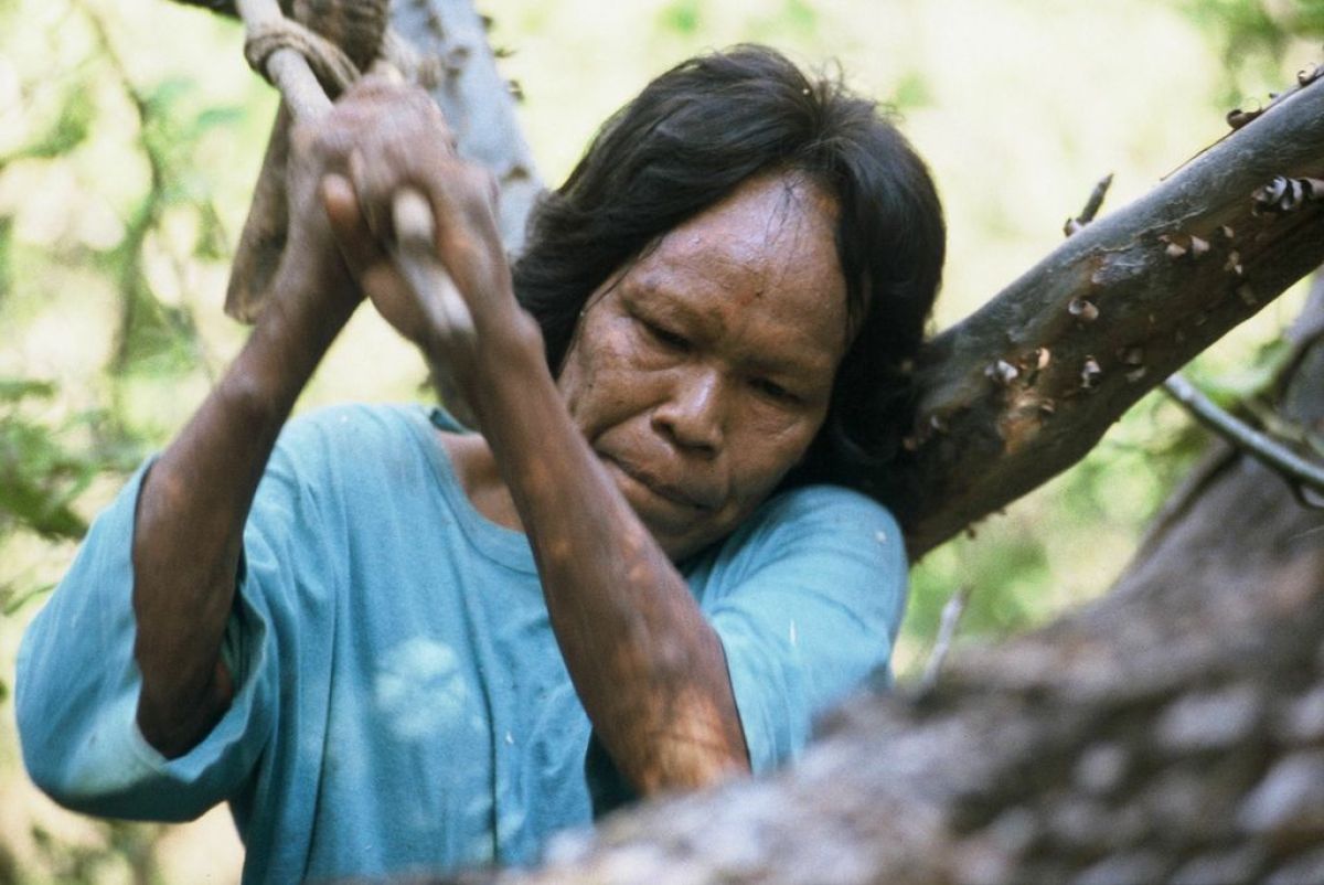 Uncontacted tribes 2020 image