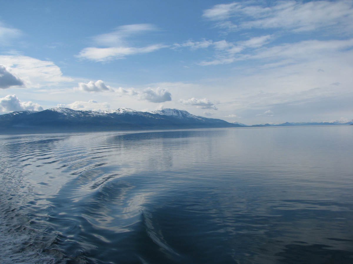 Legalized for medical use.

<a href="http://www.flickr.com/photos/alanasise/6847095796/" target="_hplink">Flickr: alana sise<