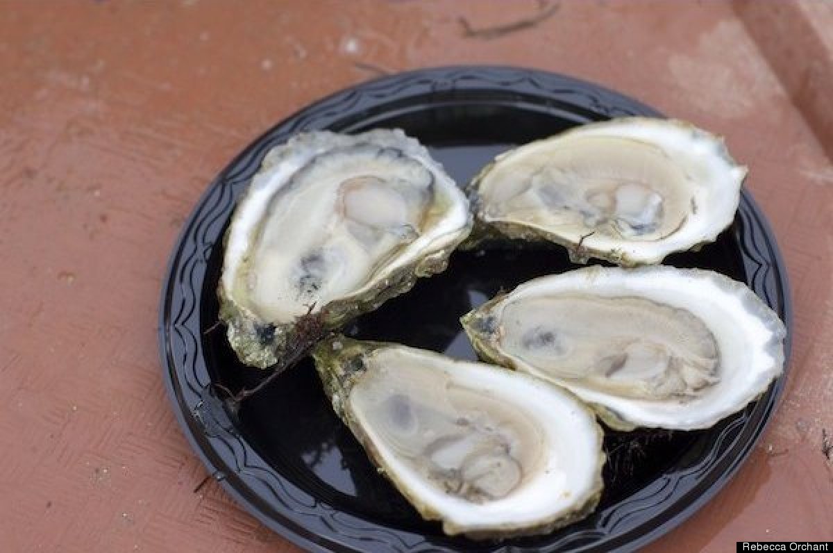 East Coast Oysters A Guide To Origin, Flavor And How To Eat Them