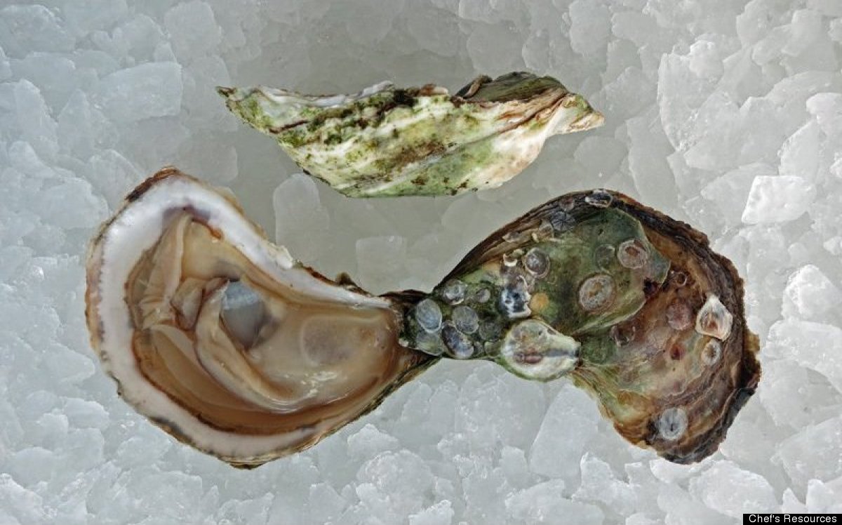 East Coast Oysters A Guide To Origin, Flavor And How To Eat Them
