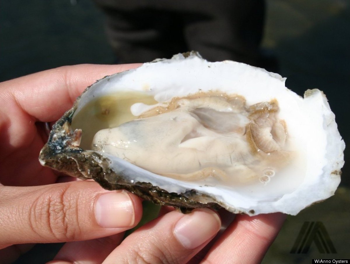 East Coast Oysters A Guide To Origin Flavor And How To Eat Them Huffpost 