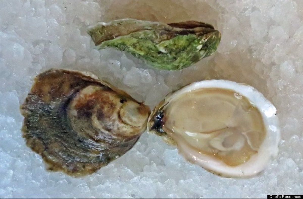 East Coast Oysters A Guide To Origin, Flavor And How To Eat Them