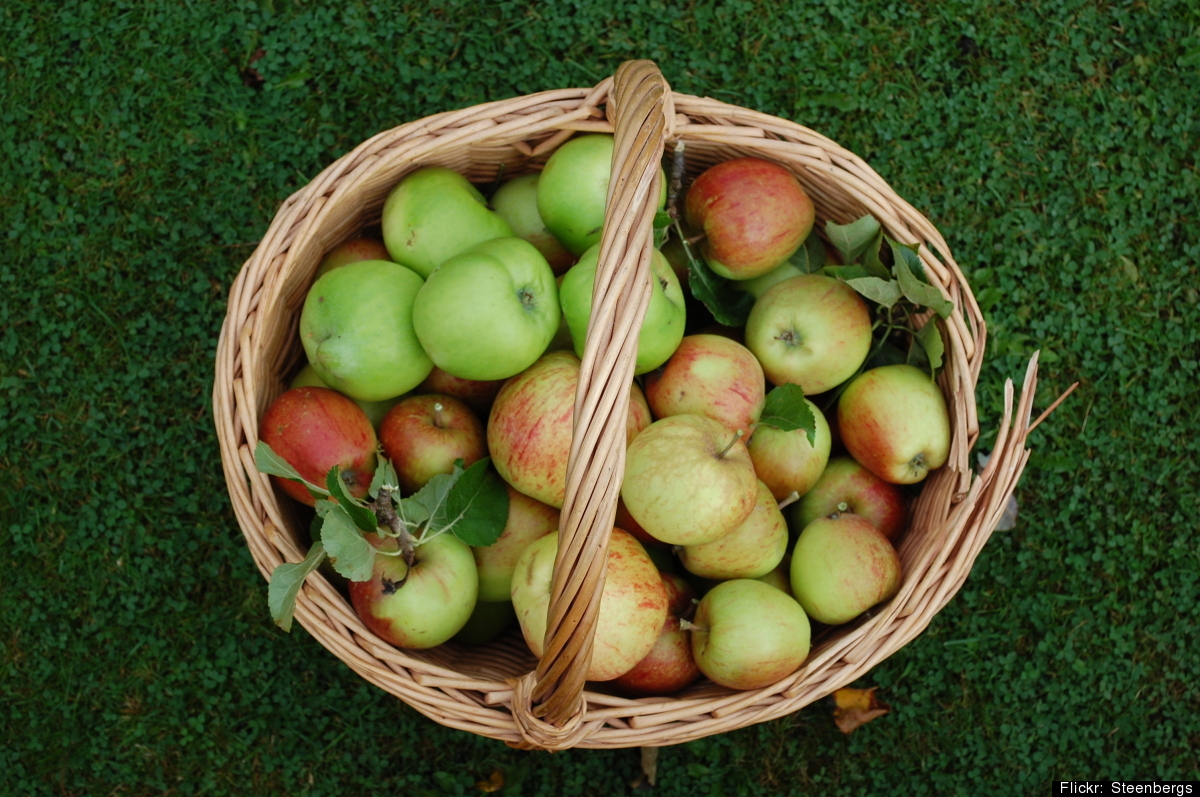 Apple Health Info Crazy Facts About The Fruit HuffPost