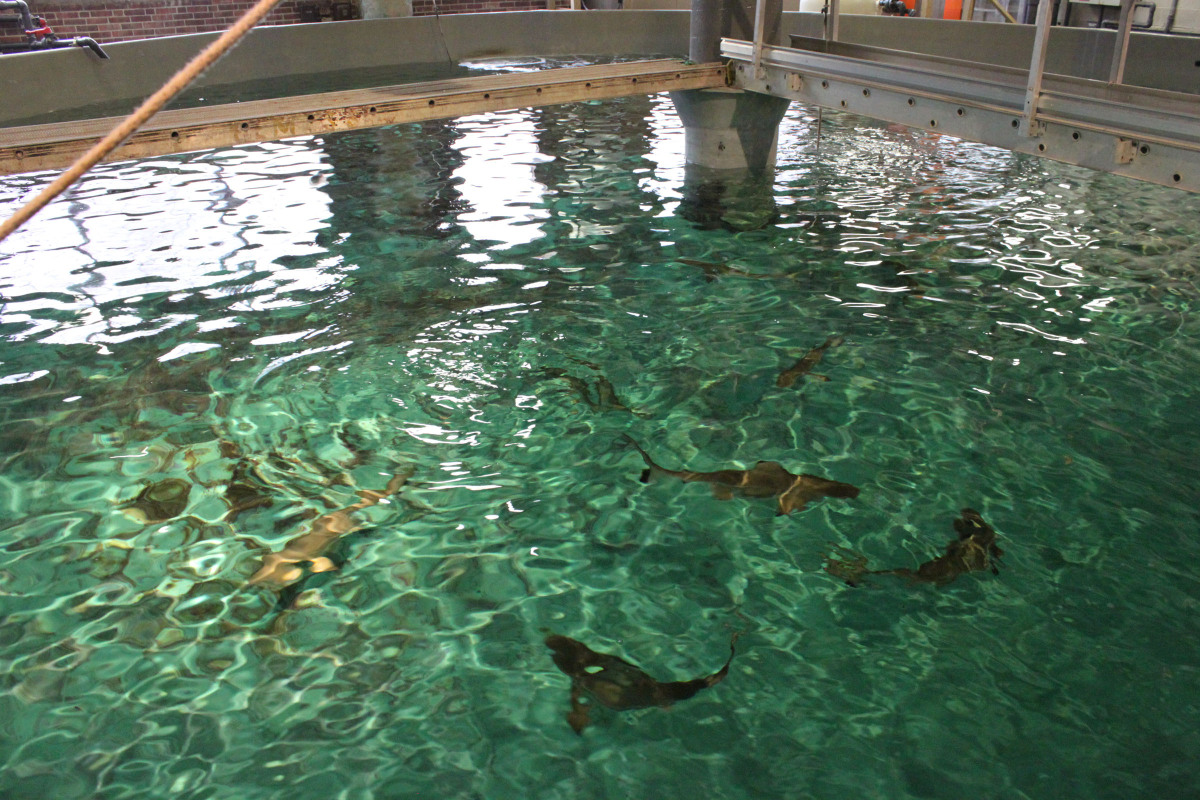 Inside The Hidden Warehouse Of Baltimore's National Aquarium (PHOTOS