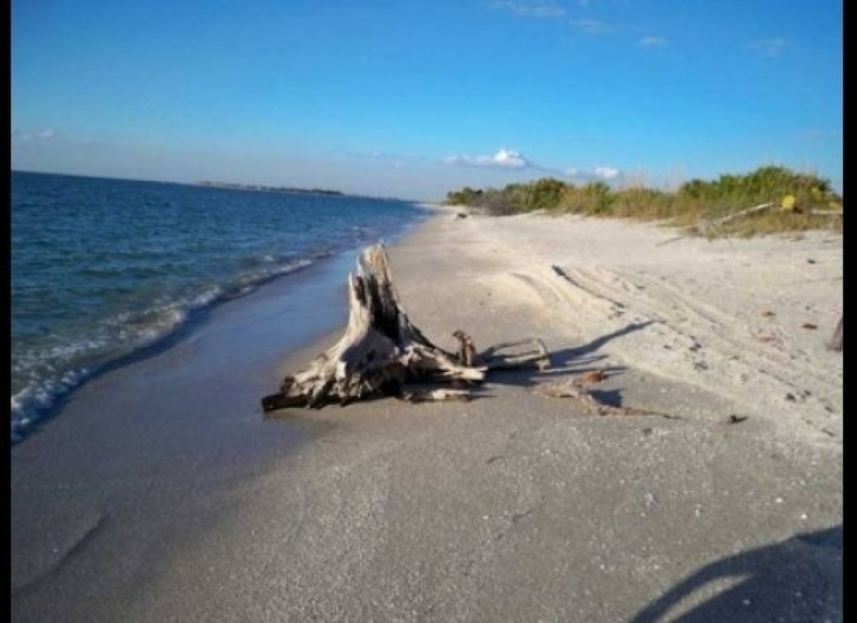 Pine Island Beach Florida The Best Beaches In World Pine Island Beach Florida The Best Beaches In World