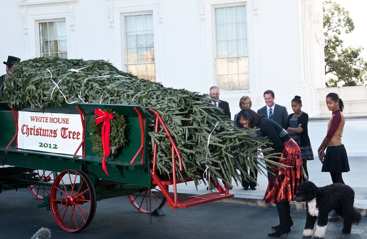 White House Christmas Trees A Look Back At The Decorated Greens