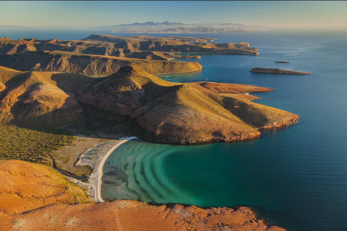 Wild Nature In Baja California And The Sea Of Cortez HuffPost