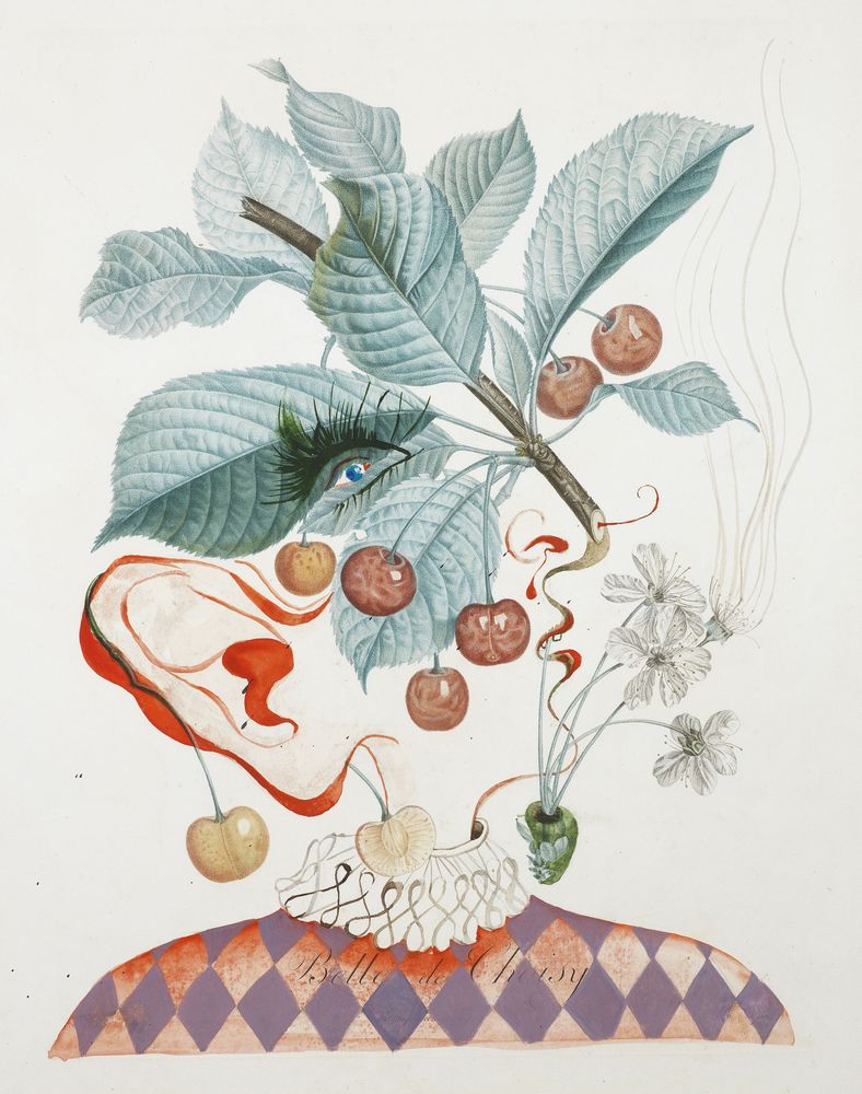 Dali Watercolors 14 Rare Botanical Artworks Sell For Over 1 Million