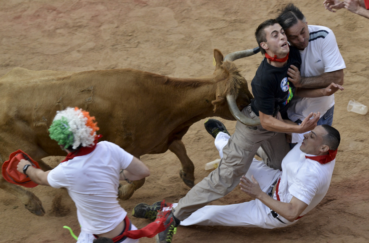 World Photo Caption Contest: The Running Of The Bulls | HuffPost