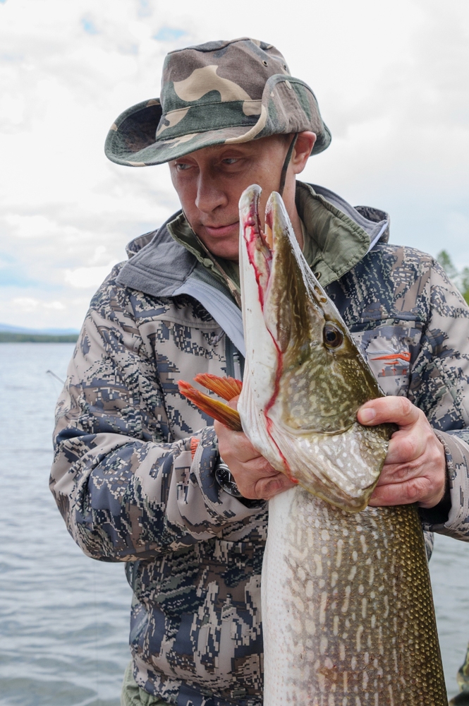 Putin Catches Giant Fish, Russians Not Amused | HuffPost