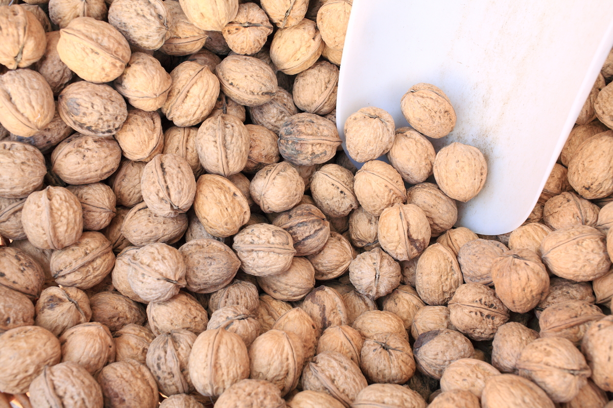 7 Foods That Reduce Your Alzheimer's Risk HuffPost