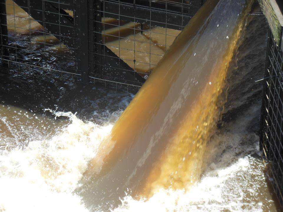 Devastating Photos Of Florida Pollution Will Fill You With Rage HuffPost