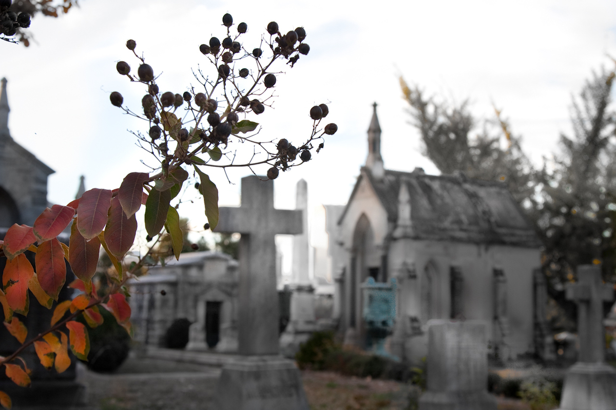 Cemeteries Make For Ideal Neighbors, According To Real Estate Survey