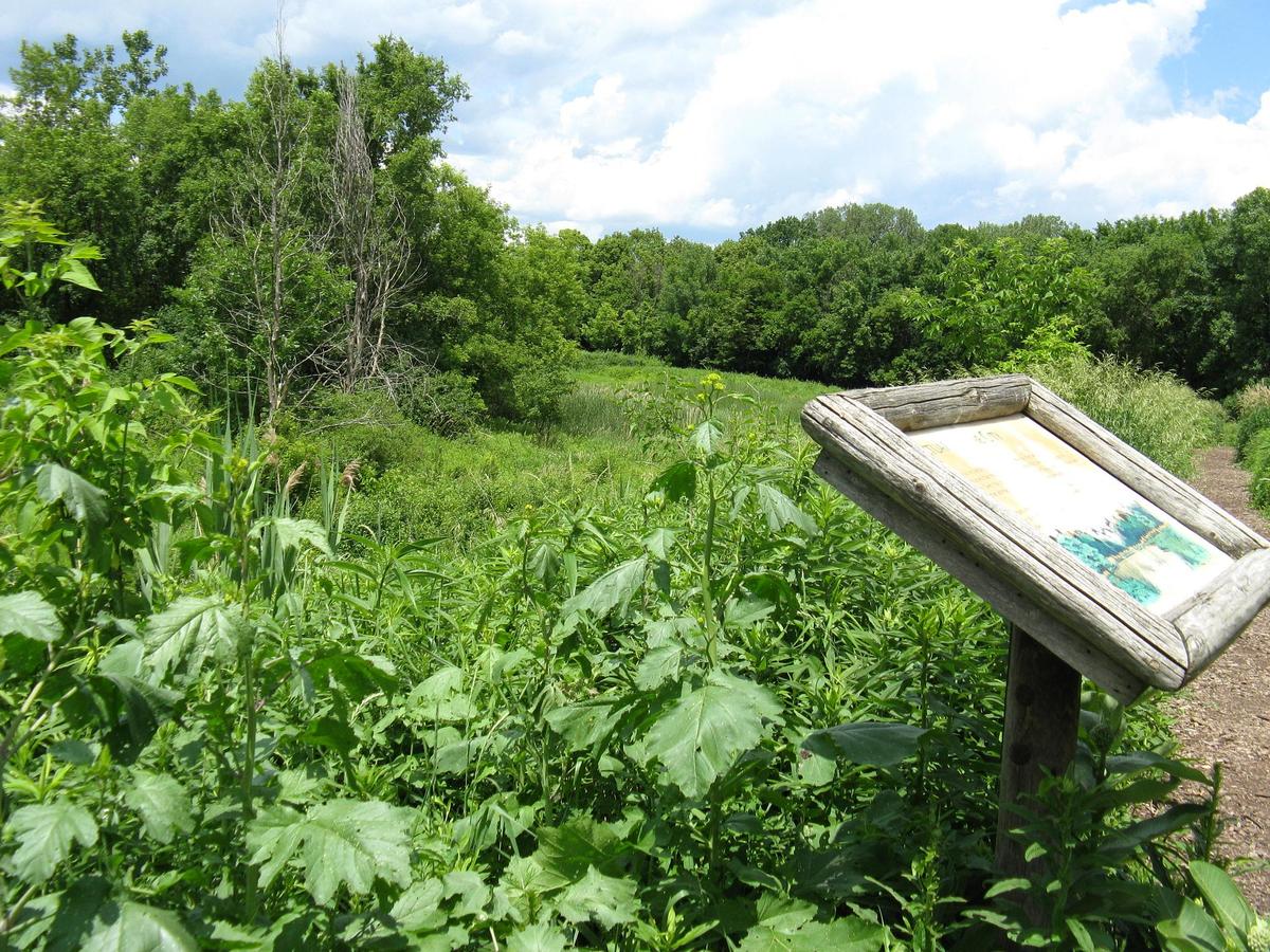 18 Places In Chicago To Go When You Need To Recharge & Feel Inspired