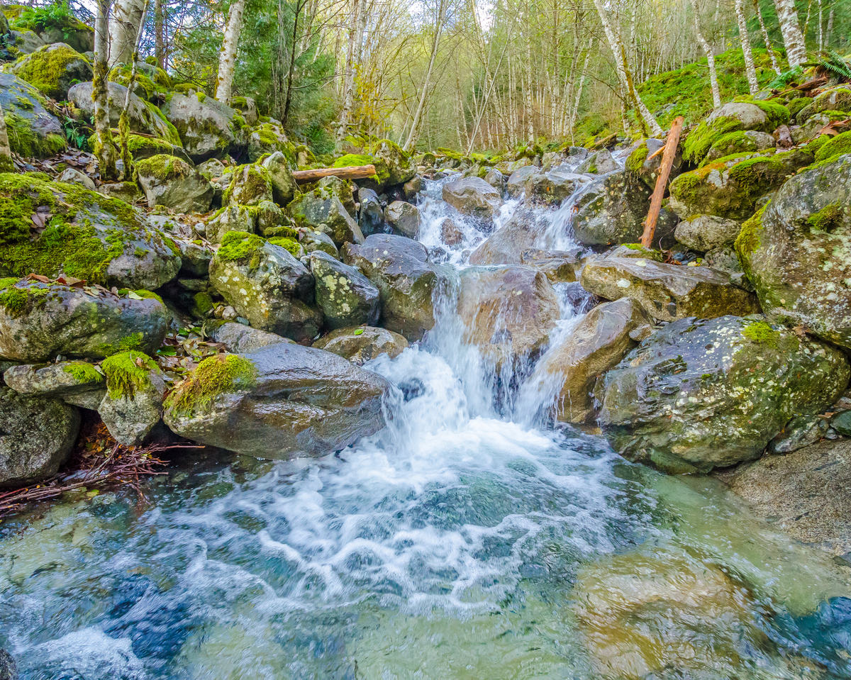 13 AweInspiring Facts About The Environment HuffPost