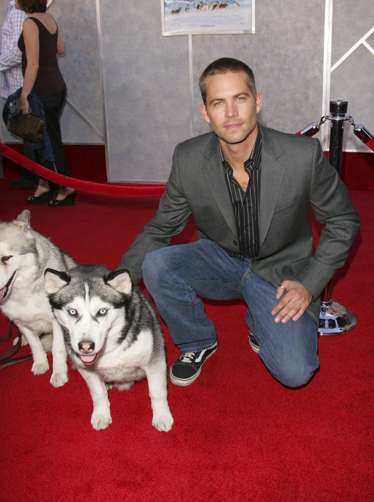 Paul Walker: su hija Meadow le escribe una carta de 