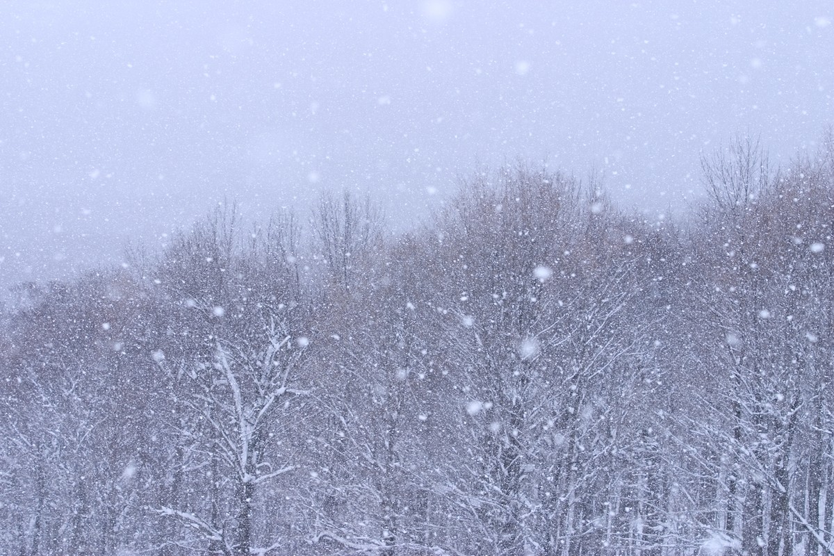 Snowflakes Come In 35 Different Shapes, Scientists Say HuffPost