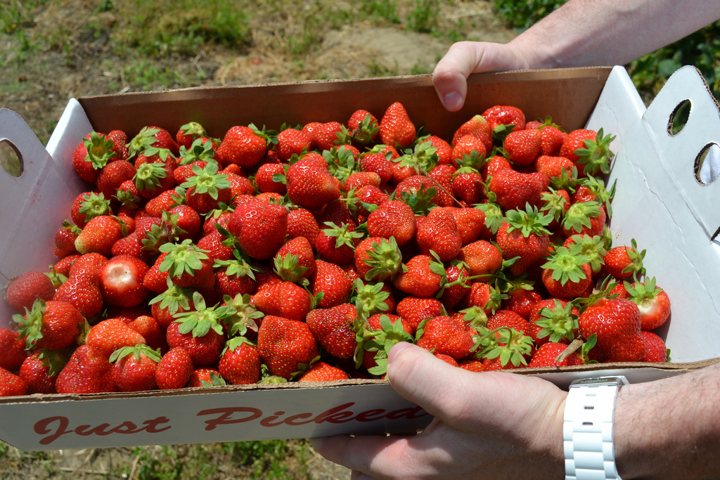 25 Foods You Have To Eat Before You Die HuffPost