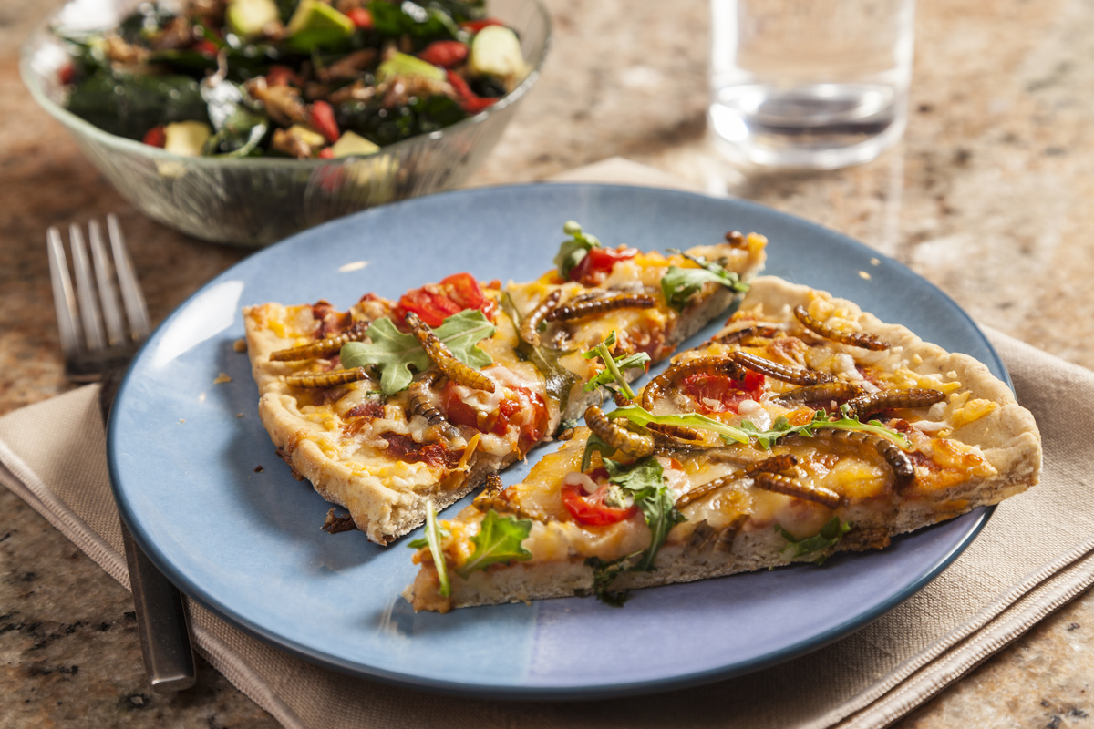 Daniella Martin Wants To Save The World One Insect Meal At A Time