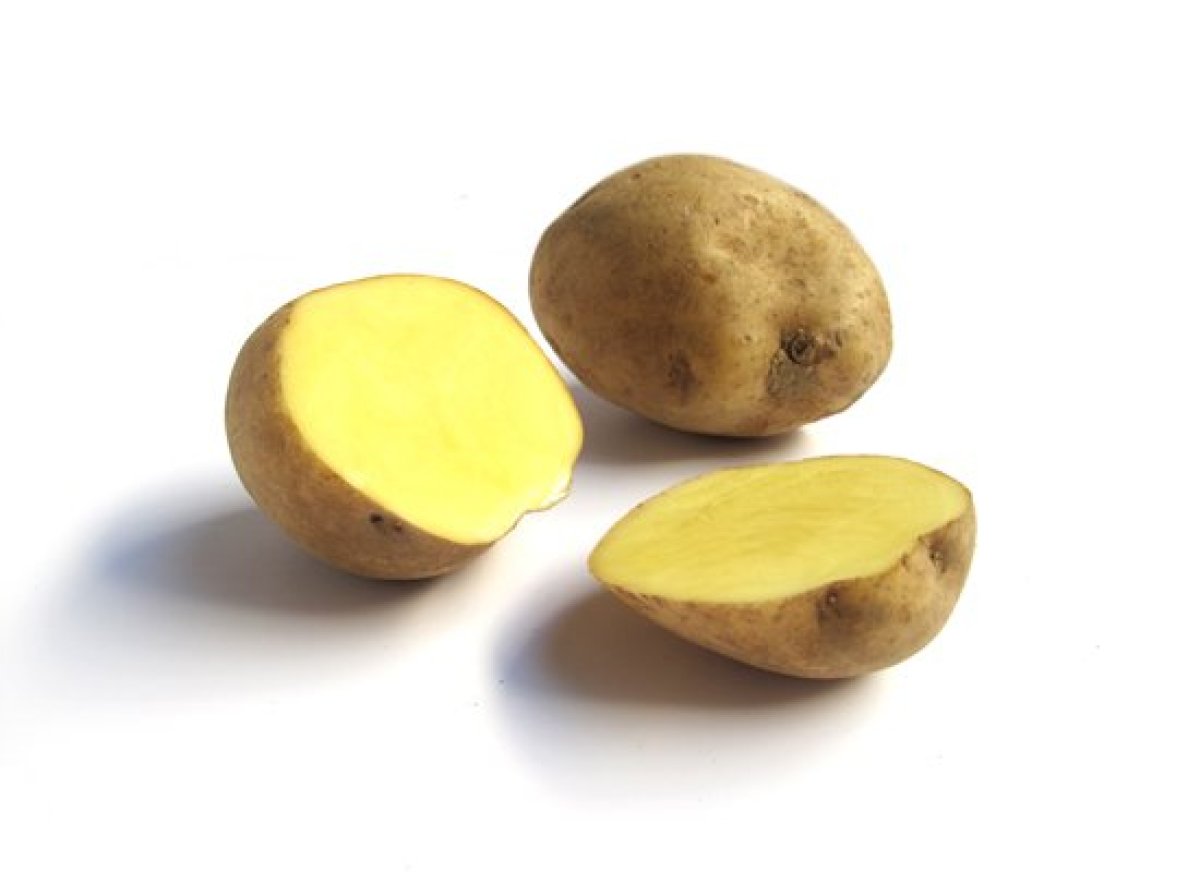 All The Potato Varieties You Need To Know About | HuffPost