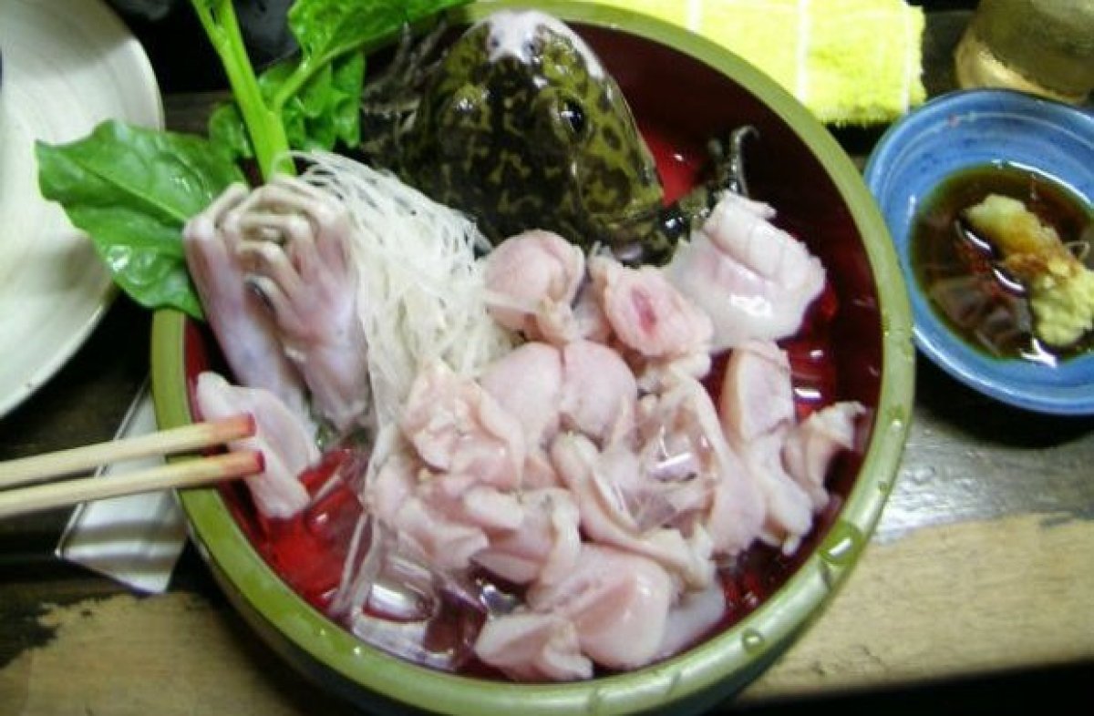 Animals That Are Eaten Alive Around the World HuffPost