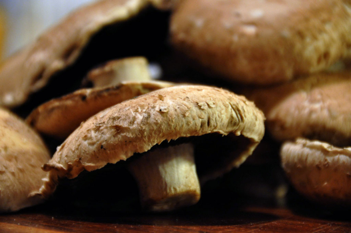 Every Type Of Mushroom You Need To Know About HuffPost