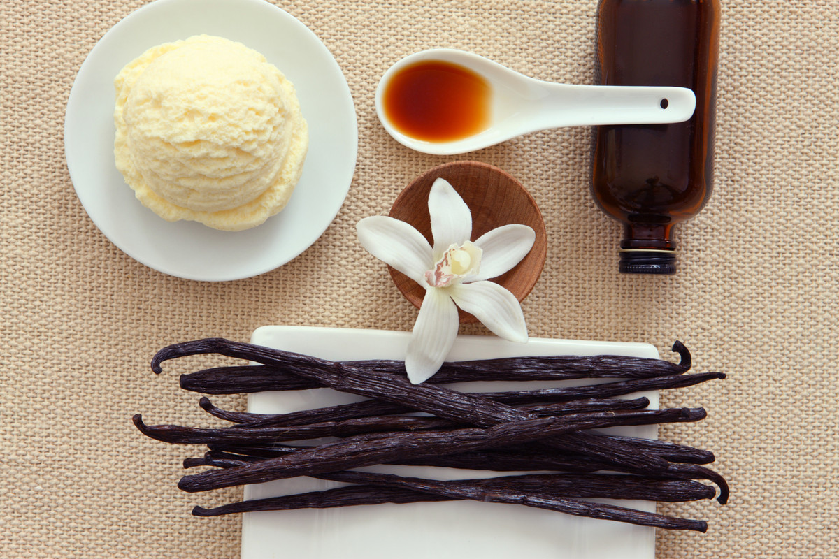 Its About Time You Knew Exactly Where Vanilla Comes From Huffpost