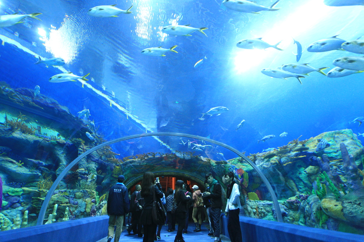 Chimelong Ocean Kingdom World s Largest Aquarium  Opens 