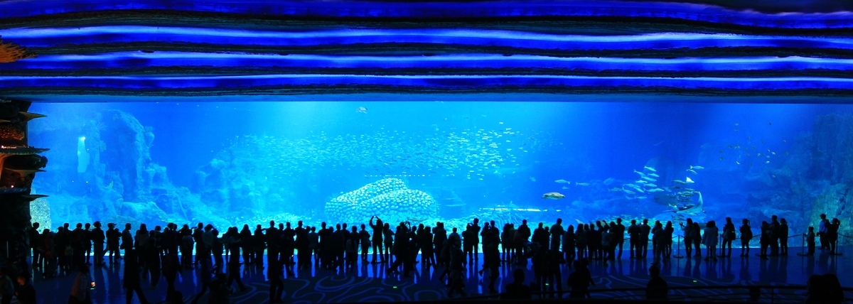 Chimelong Ocean Kingdom, World's Largest Aquarium, Opens In China ... - SliDe 343857 3575970 Free