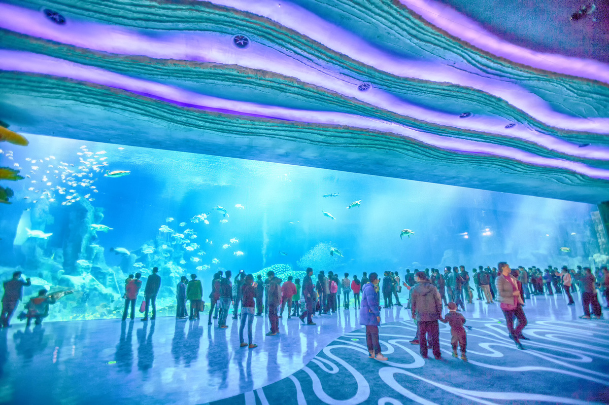 Chimelong Ocean Kingdom World s Largest Aquarium  Opens 