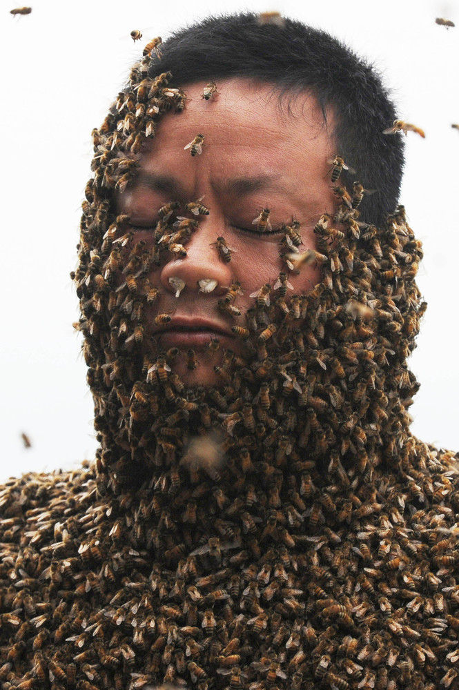 Man Wears Suit Made Of 11 Million Bees In Attempt To Set World Record Huffpost