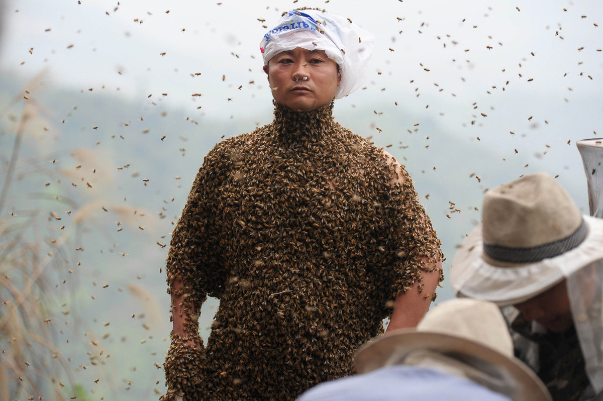 She Ping Chinese Beekeeper Covers Himself With 460000 Bees Photos Huffpost