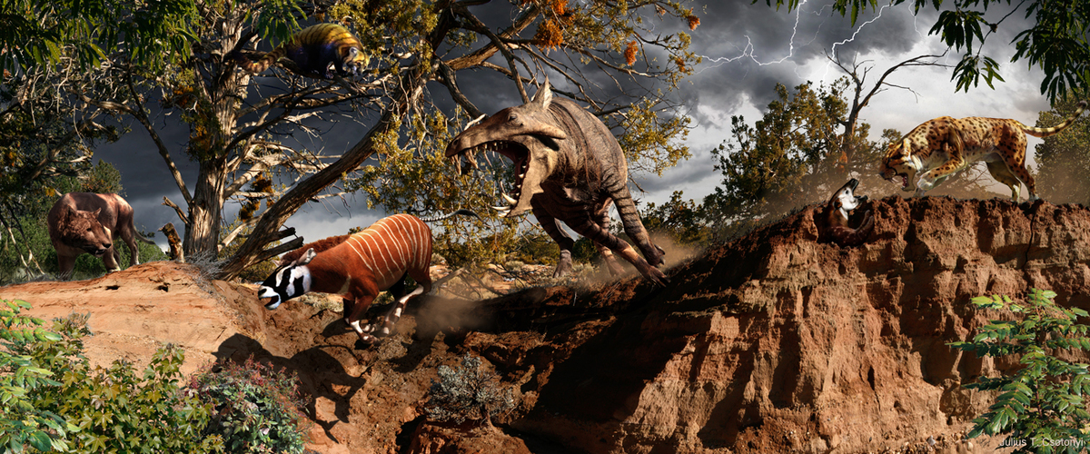 cretaceous epoch