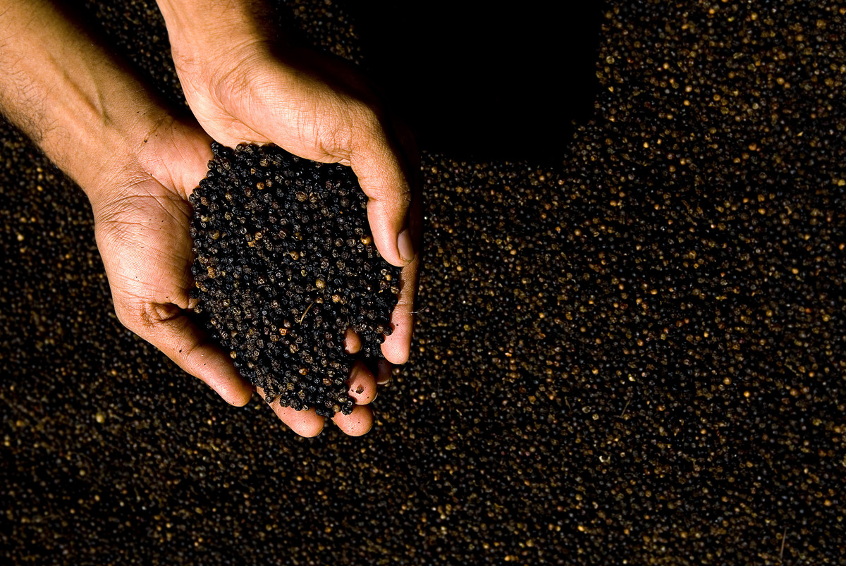 Everything You Need To Know About Peppercorns, The Most Widely Used