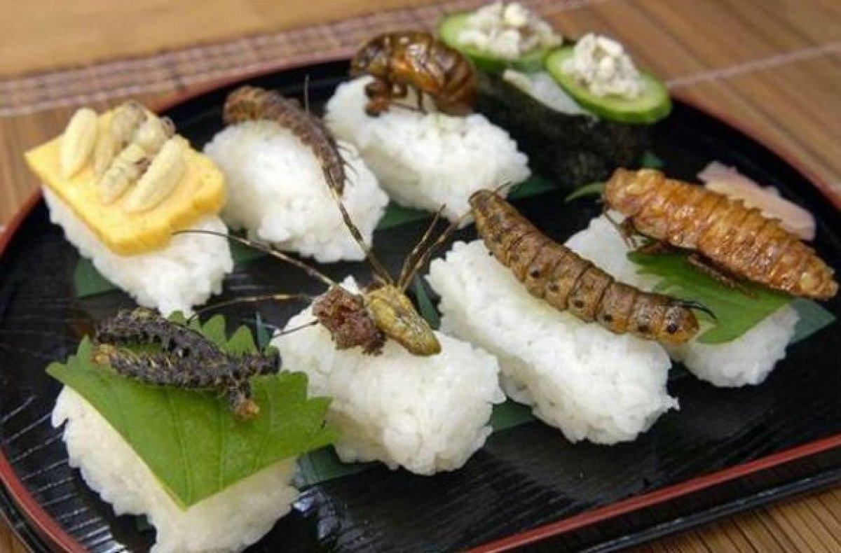 Delicious Creepy Crawly Snacks Around the World HuffPost