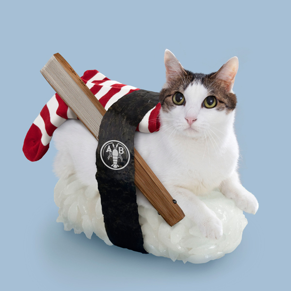 Cats + Sushi = The Most Awesome Mythical Creatures Ever HuffPost