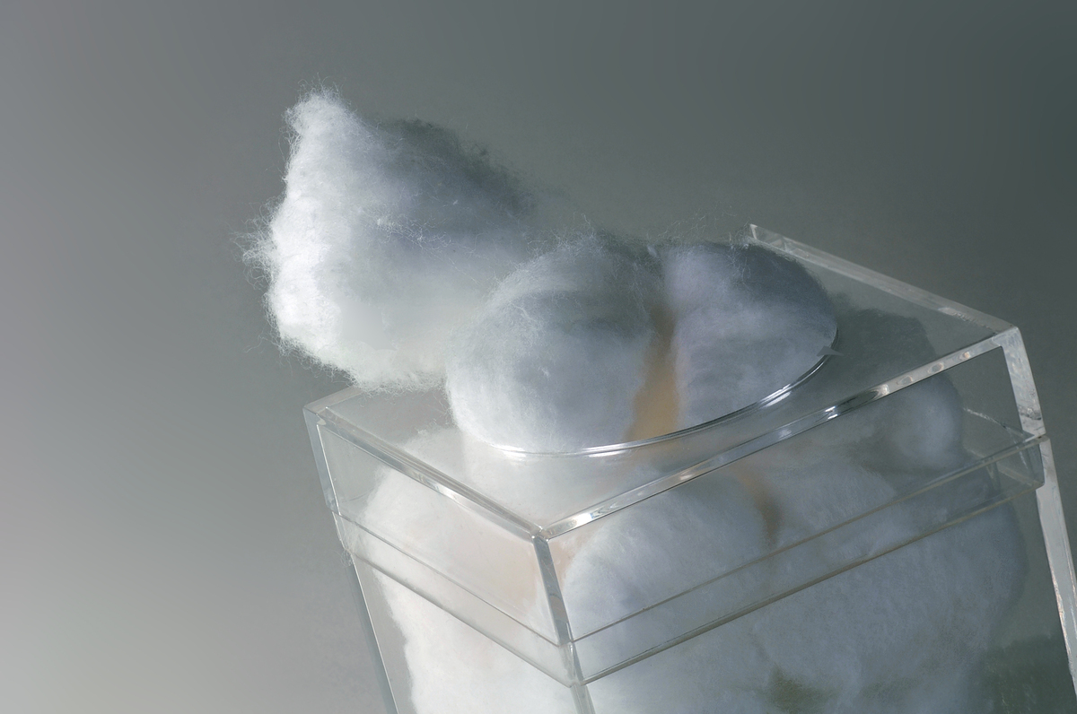 14 Fad Diets You Should Absolutely Never Try HuffPost