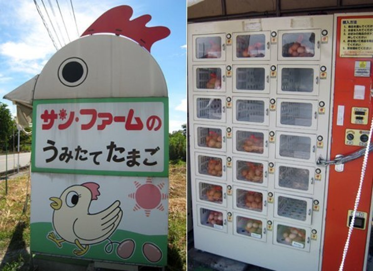 The Weirdest Food Vending Machines Around The World HuffPost