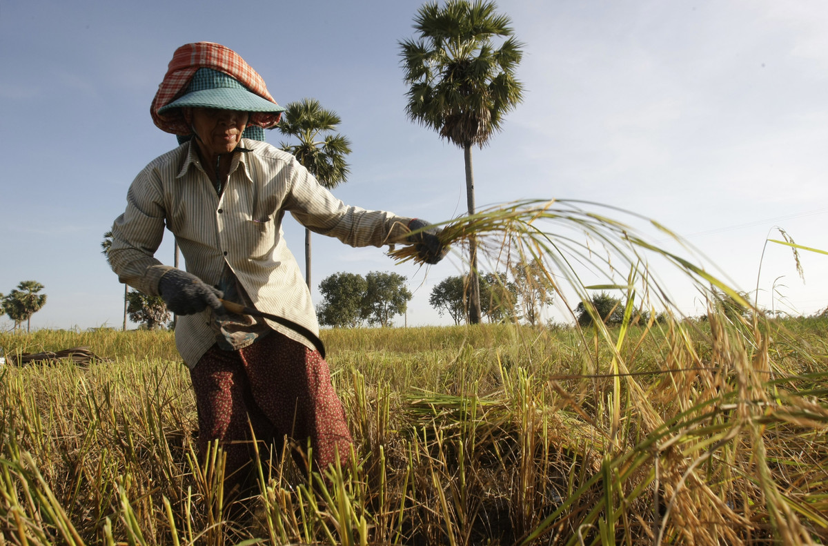 You'll Never Believe The Insane Amount Of Work It Takes To Harvest A