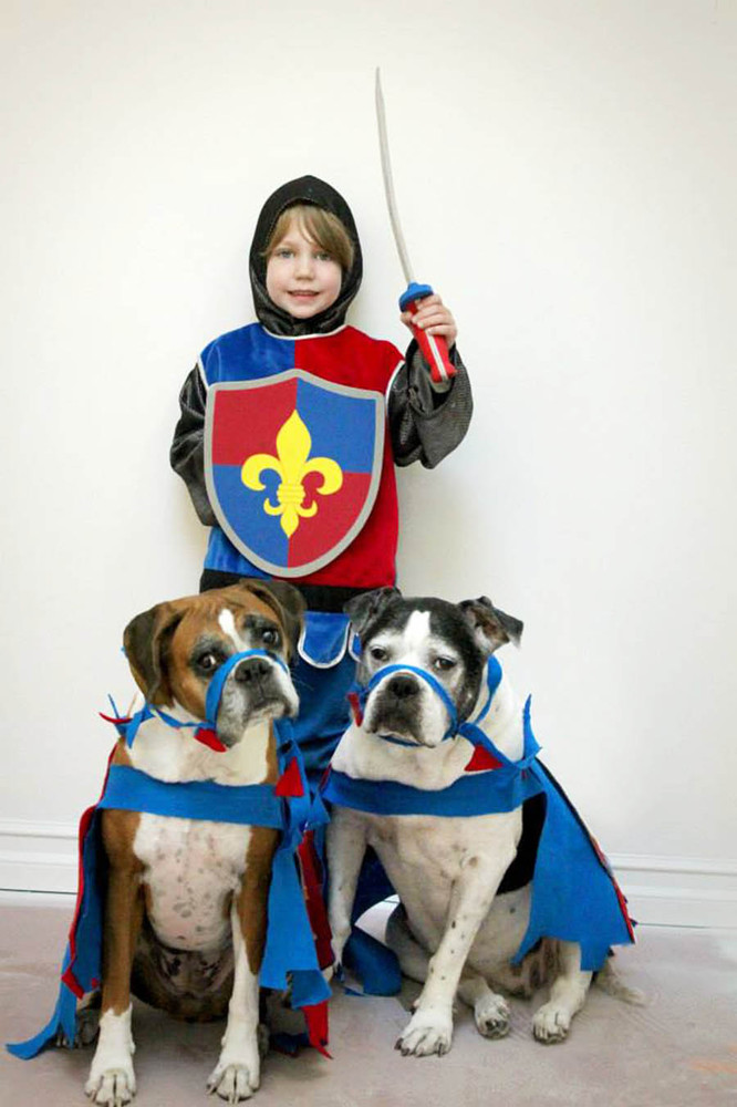 Adorable Boy And His Dog Coordinate Halloween Costumes Every Year HuffPost