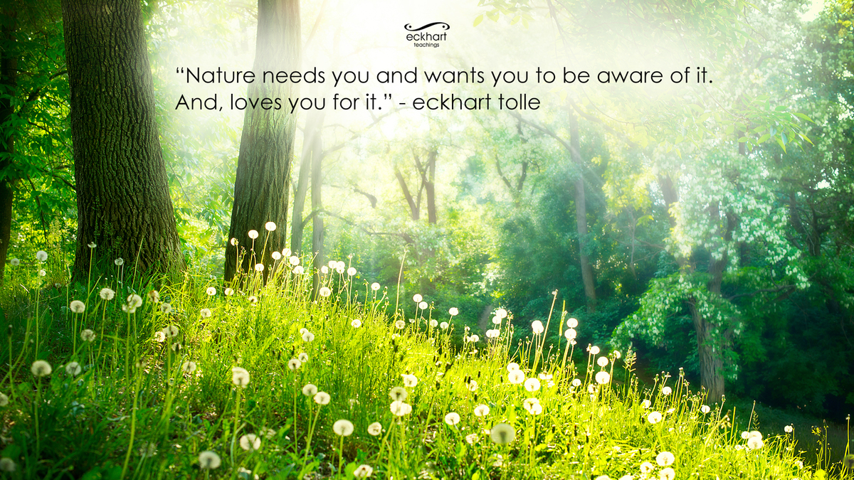 Eckhart Tolle's Guide To Finding Peace Through Nature | HuffPost