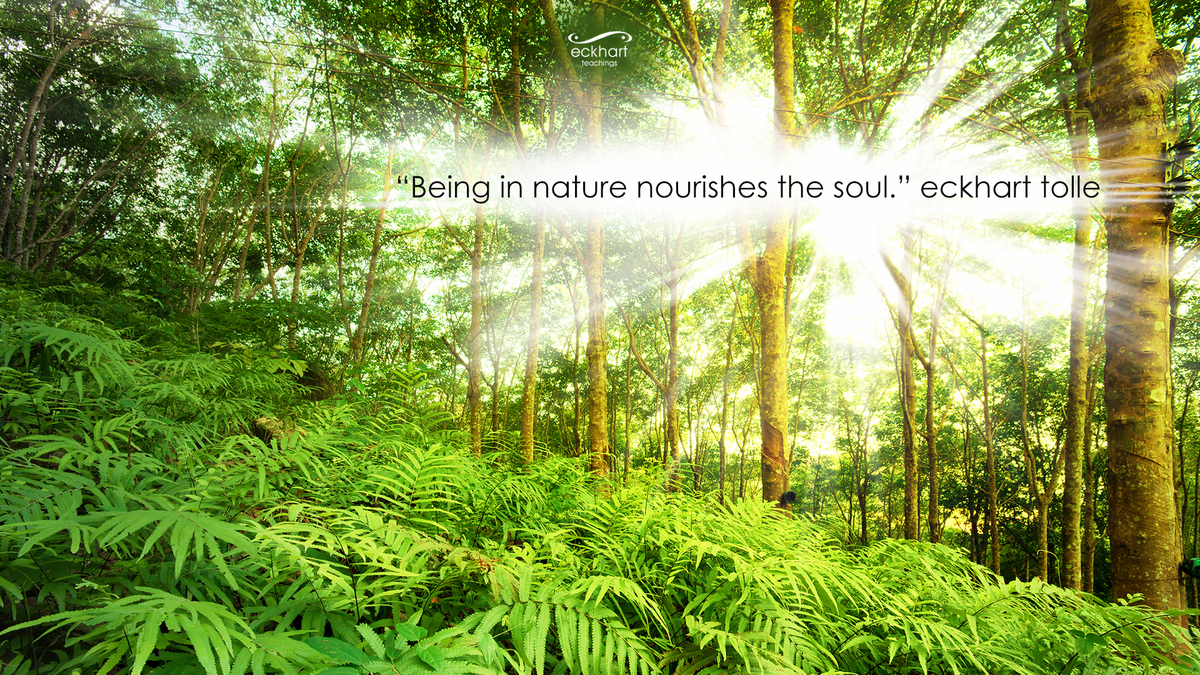 How to do a thesis proposal using narrative inquiry number