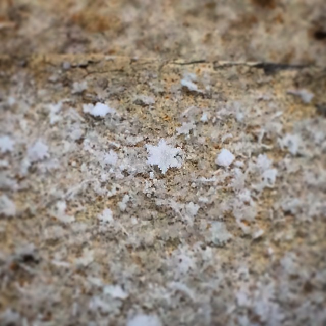 These Are The Star-Shaped Snowflakes That Fell All Over The East Coast ...