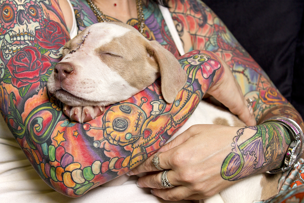 Moving Photos Of Rescued Dogs And Their Tattooed Humans Remind Us To Ditch Stereotypes | HuffPost