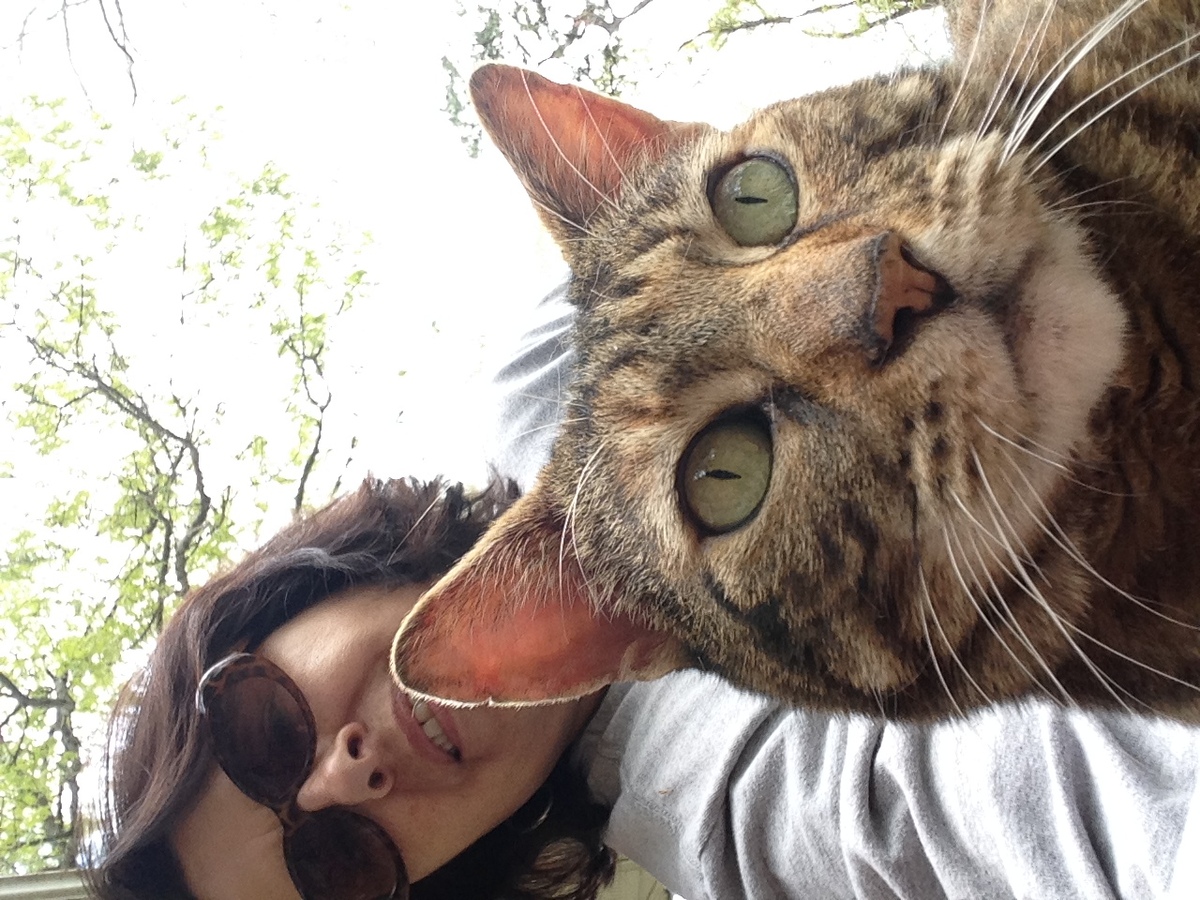 11 Reasons Your Crazy Cat Obsession Makes You Happier And Healthier ...